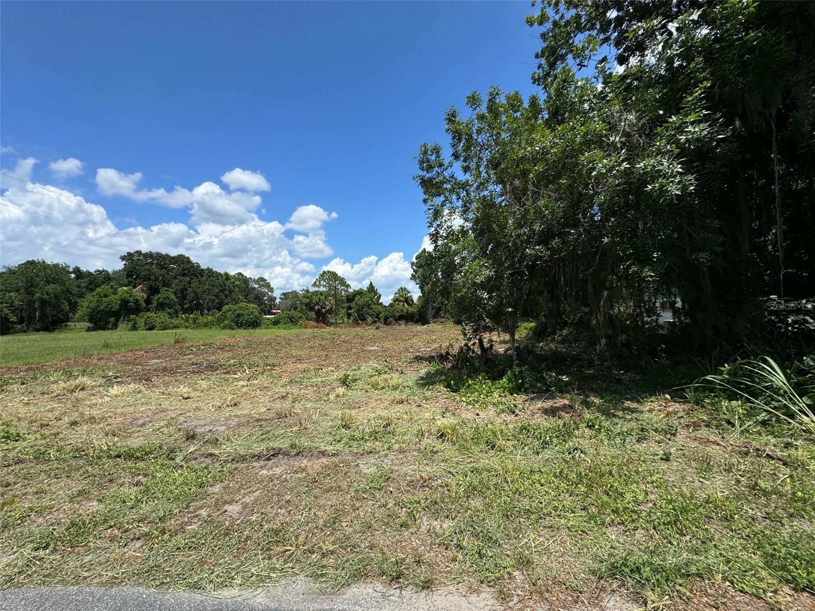Cove Road Tavares FL 32778 G5109101 image5