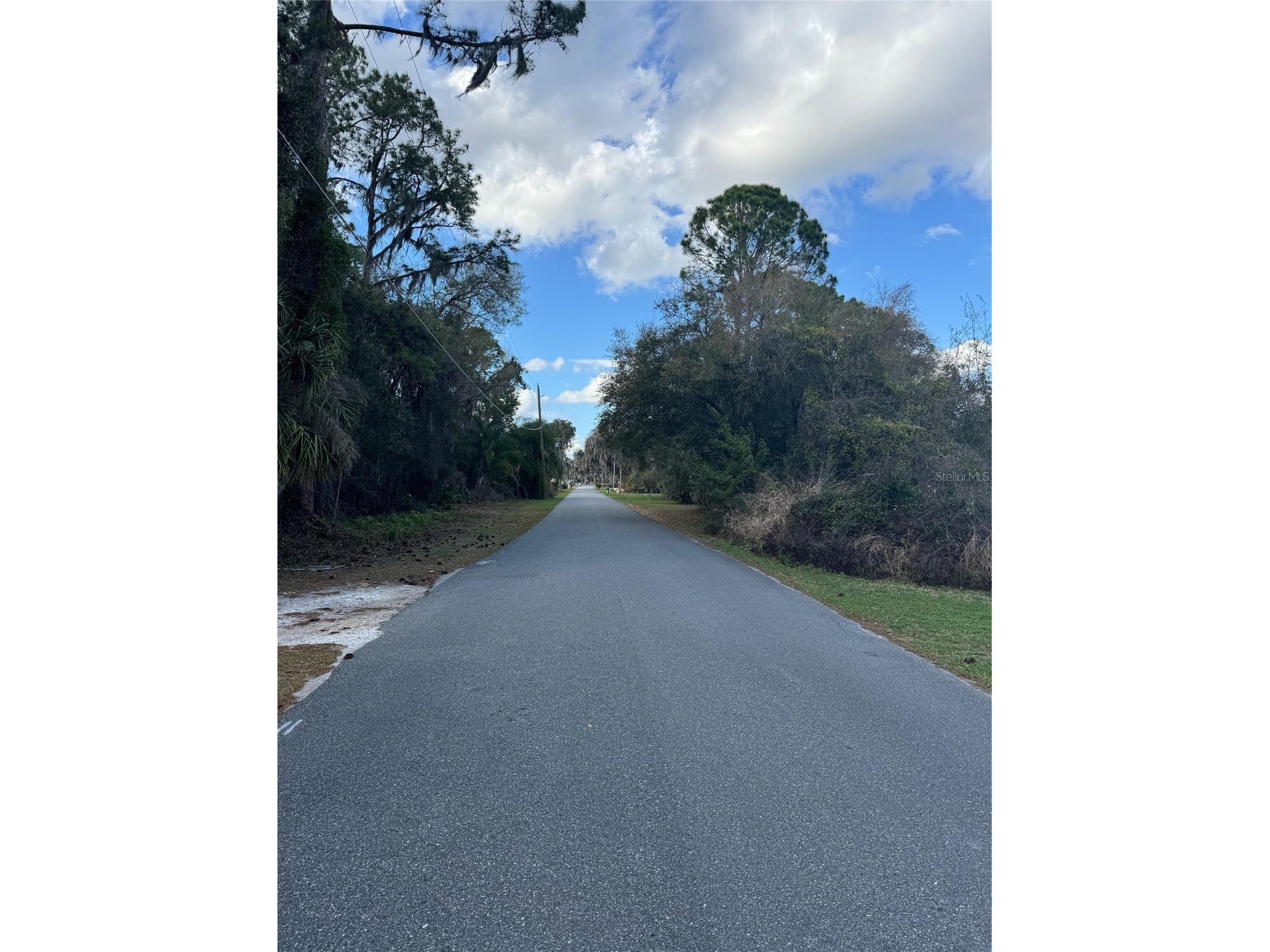 Cove Road Tavares FL 32778 G5109101 image7