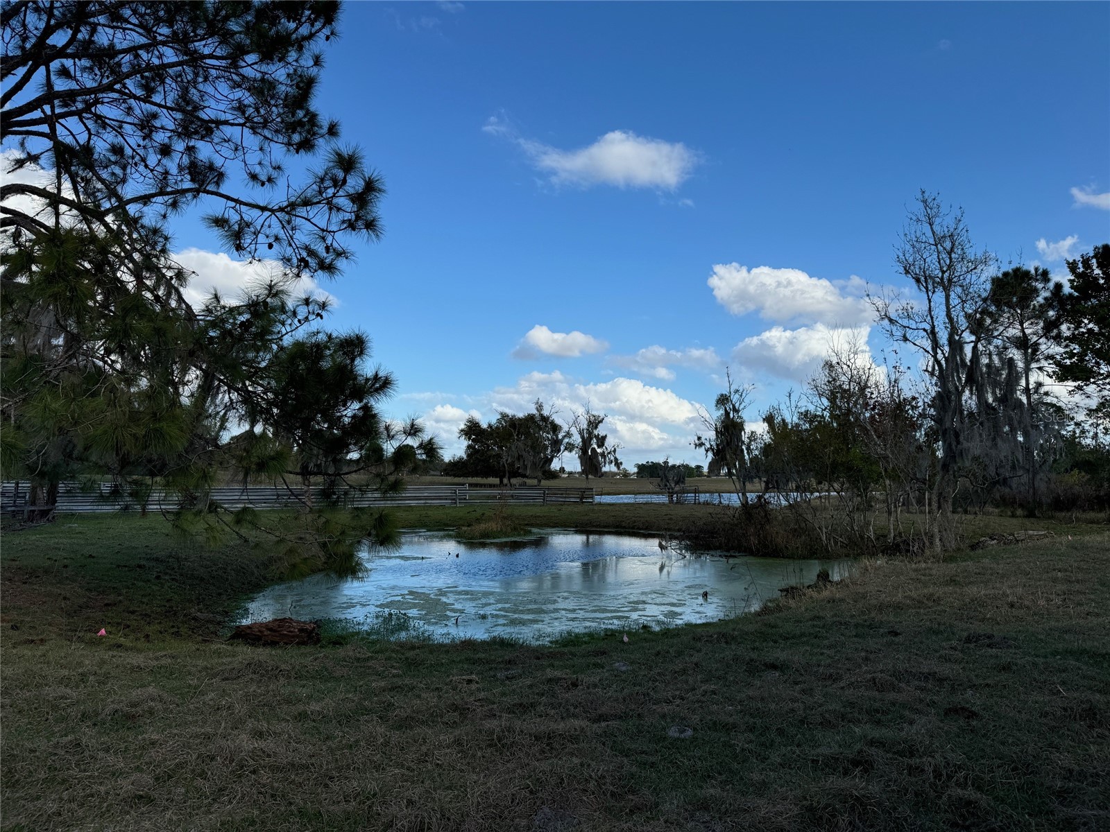 Cove Road Tavares FL 32778 G5109101 image8
