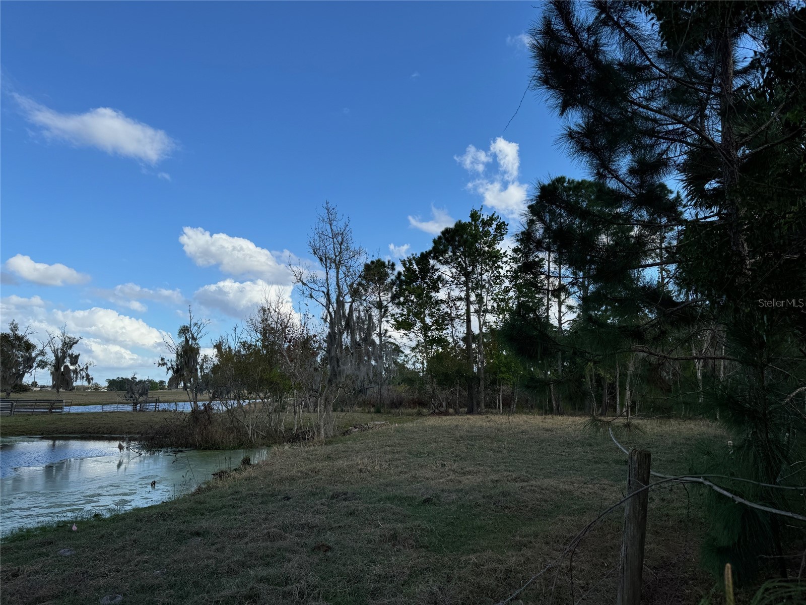 Cove Road Tavares FL 32778 G5109101 image9
