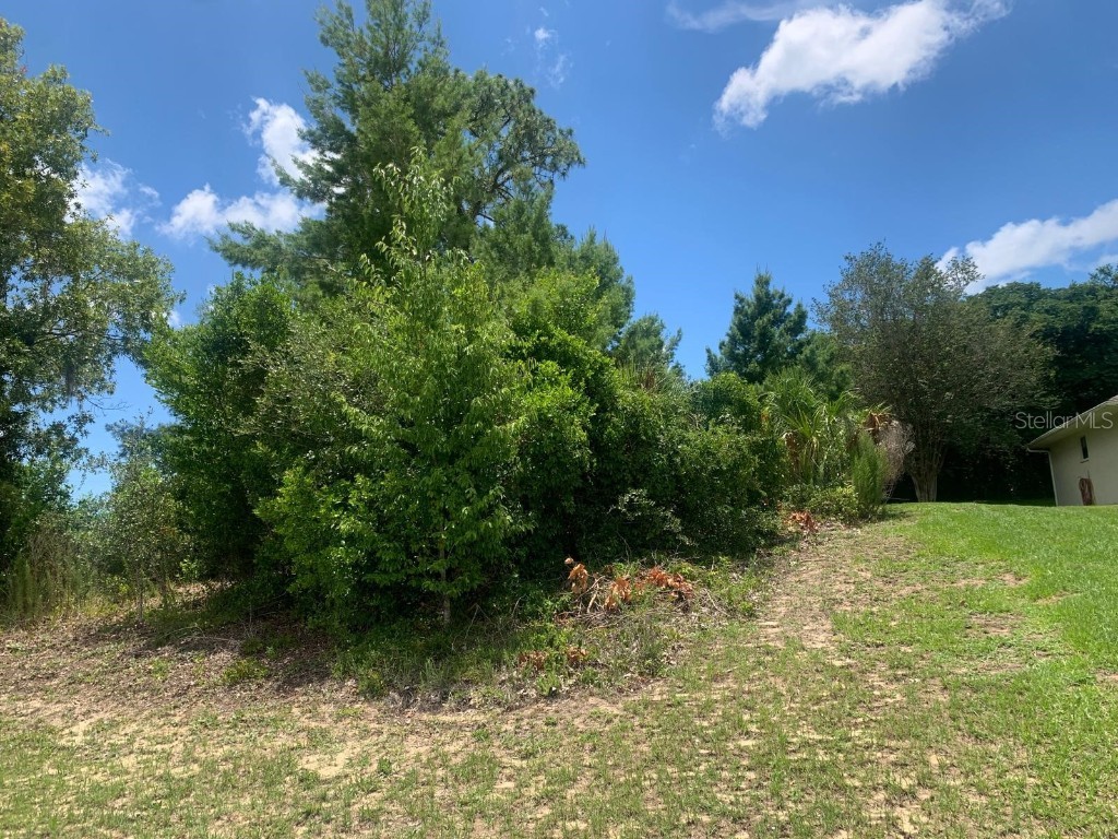 Covewood Drive Spring Hill FL 34609 T3536435 image1