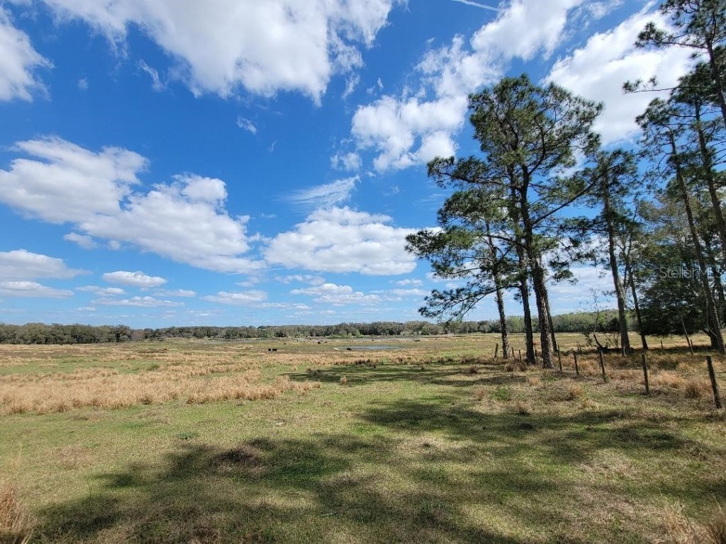 Covington Dade City FL 33525 T3429312 image1