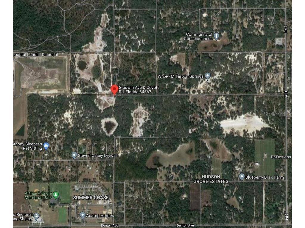 Coyote Road Hudson FL 34667 T3344343 image1