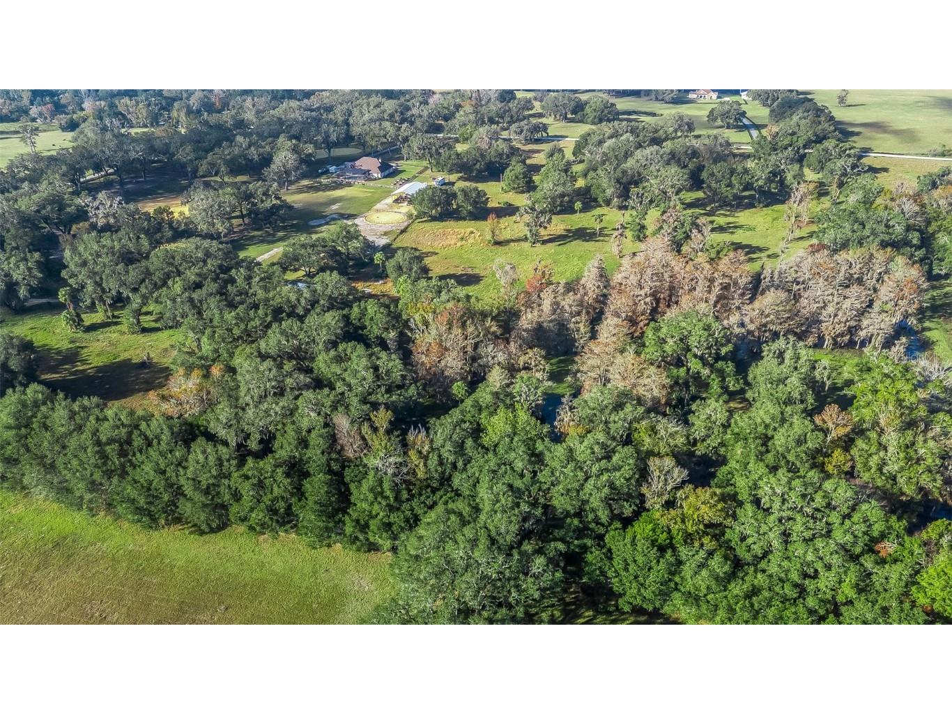 Cr 221 Wildwood FL 34785 G5090335 image13