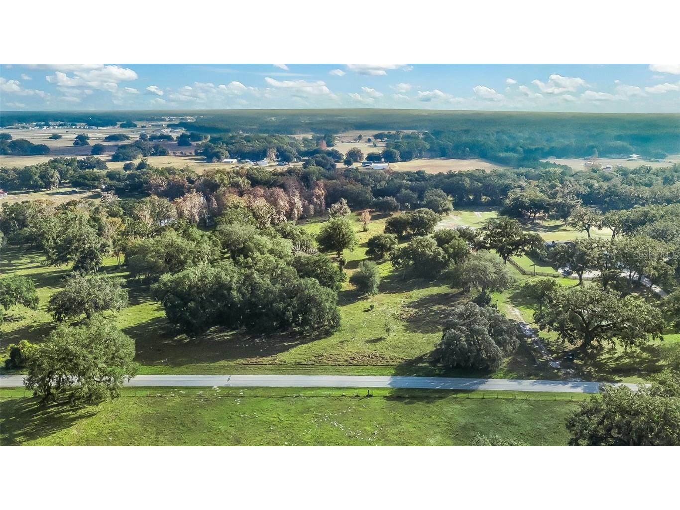 Cr 221 Wildwood FL 34785 G5090335 image8