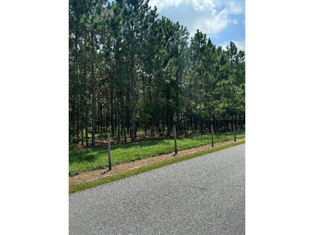 Cr 227 Road Oxford FL 34484 G5101151 image3