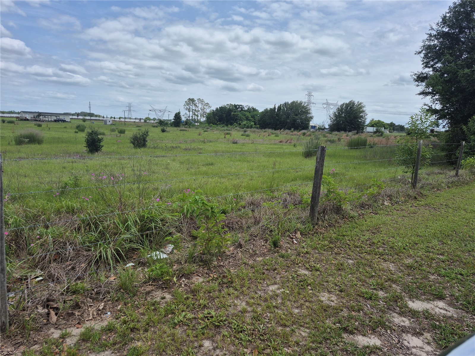 Cr 229 Wildwood FL 34785 G5113135 image2