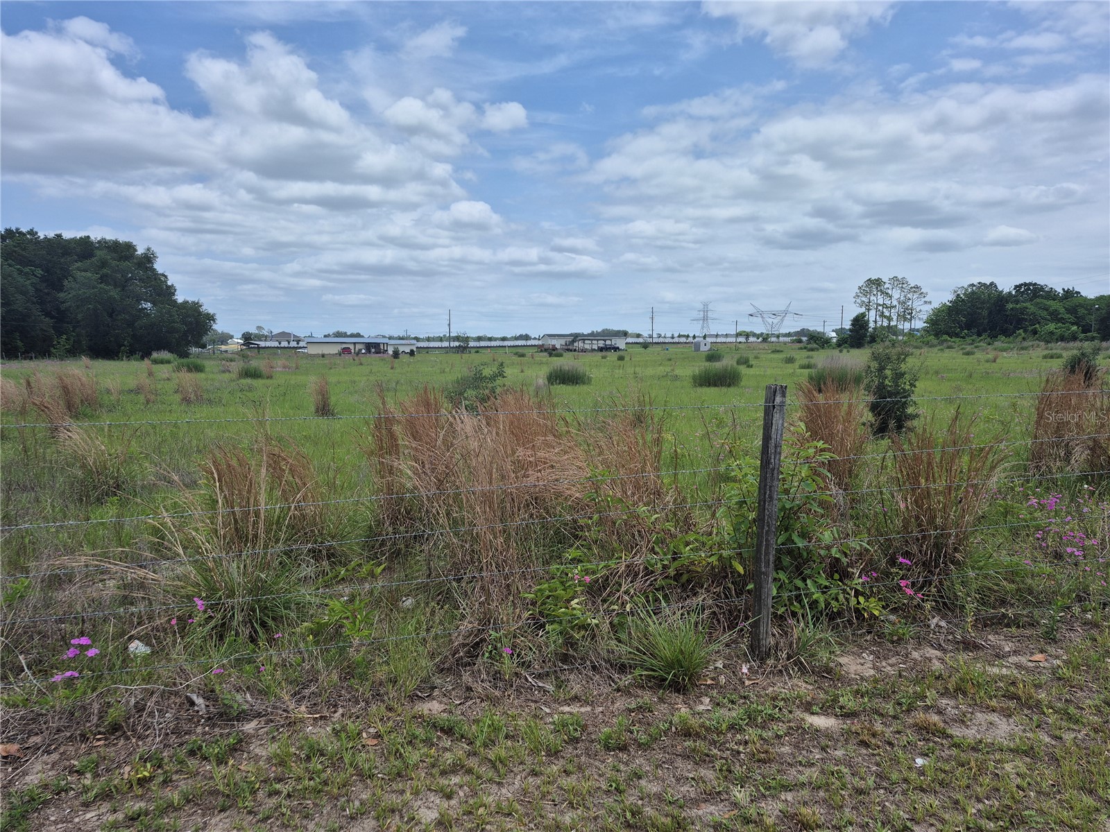 Cr 229 Wildwood FL 34785 G5113135 image3