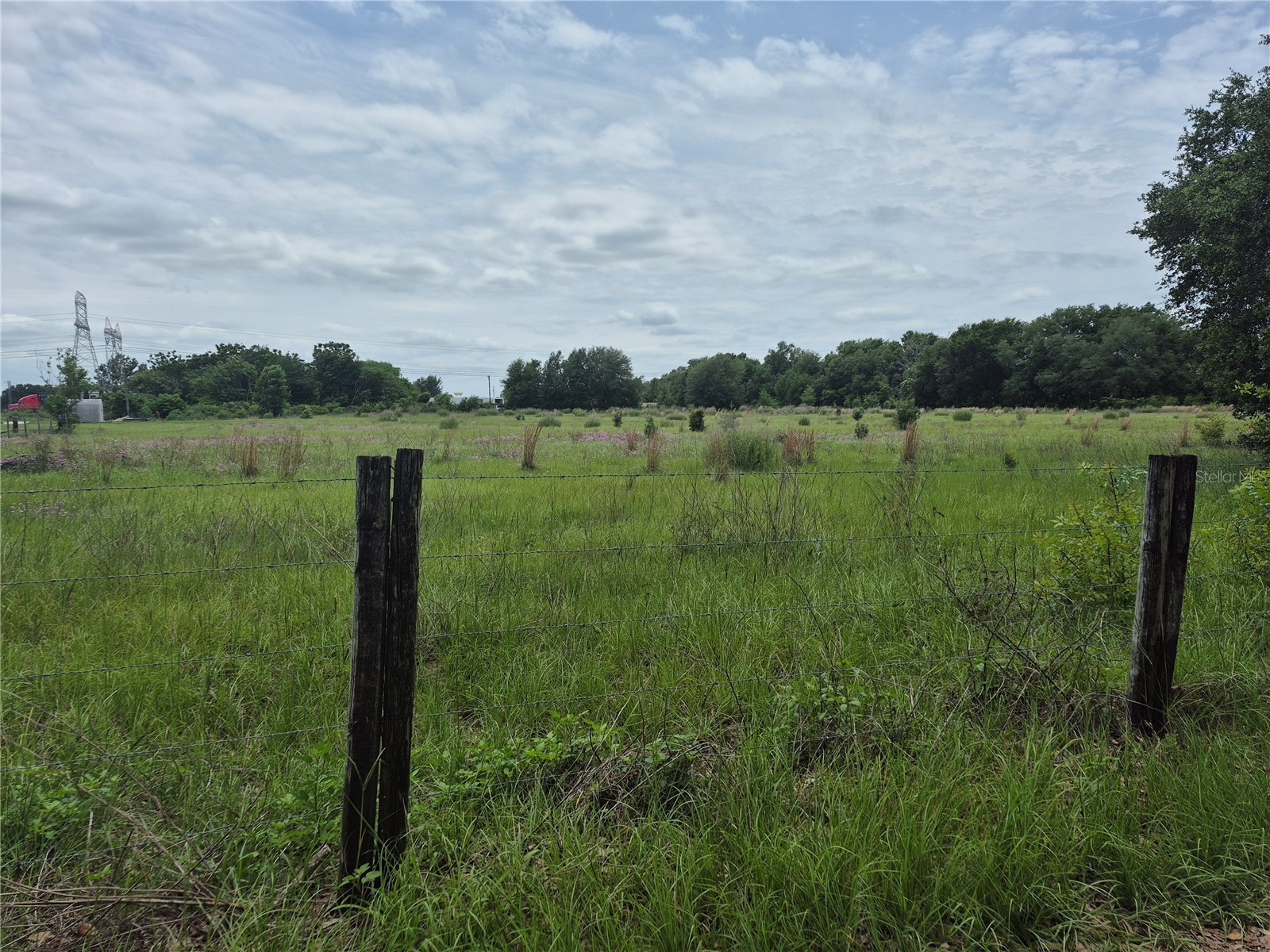Cr 229 Wildwood FL 34785 G5113135 image4