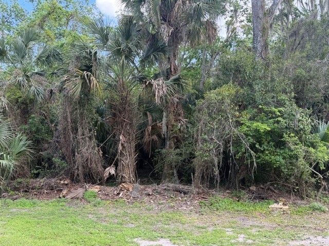 Cr 234 Micanopy FL 32667 GC538867 image5