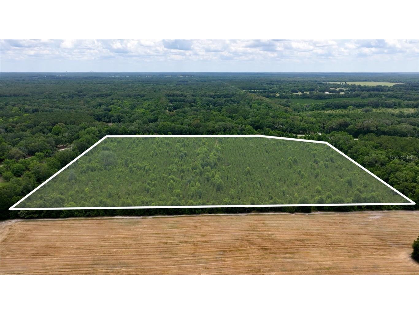 Cr 235 Newberry FL 32669 GC531321 image1