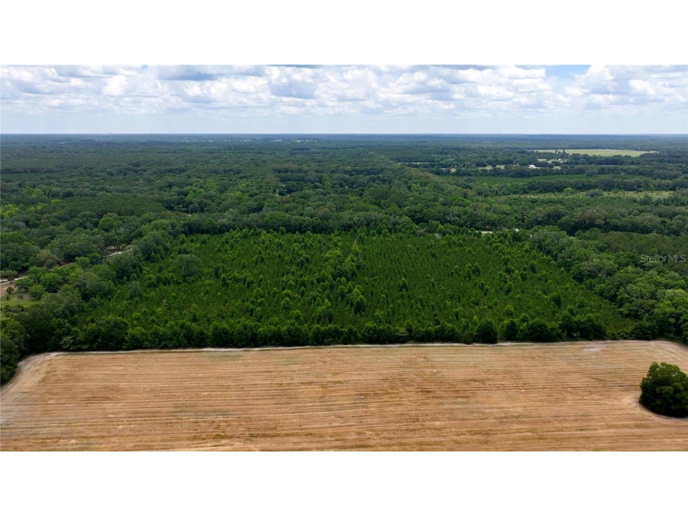 Cr 235 Newberry FL 32669 GC531321 image12