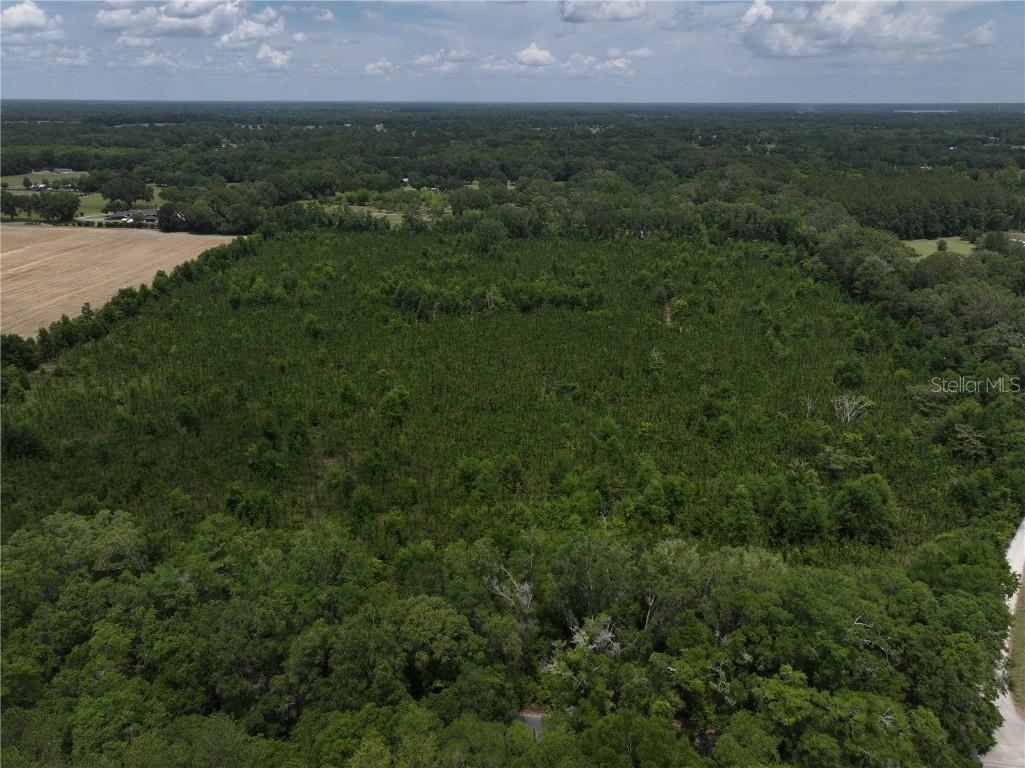 Cr 235 Newberry FL 32669 GC531321 image13