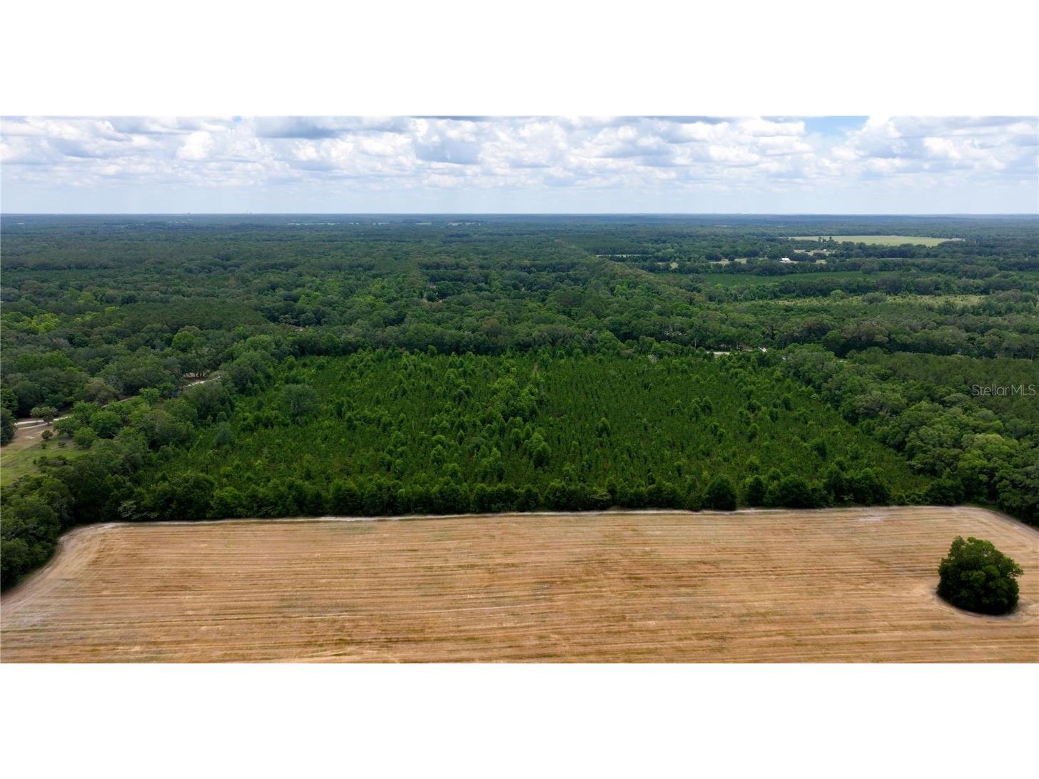 Cr 235 Newberry FL 32669 GC531321 image17