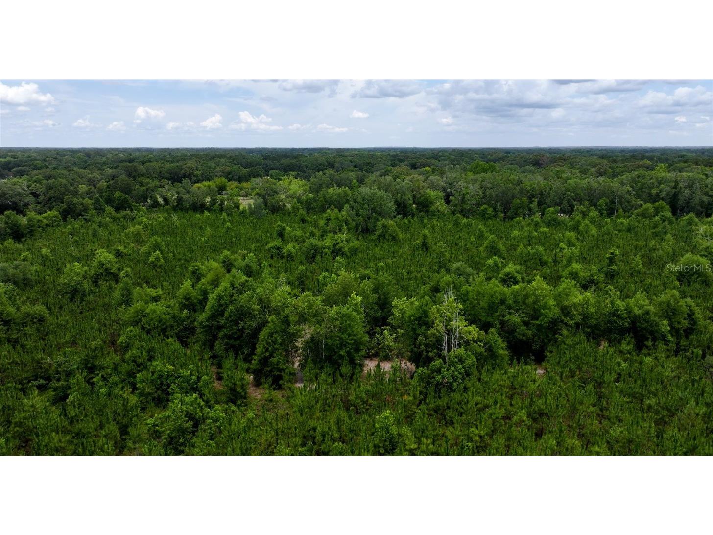 Cr 235 Newberry FL 32669 GC531321 image18