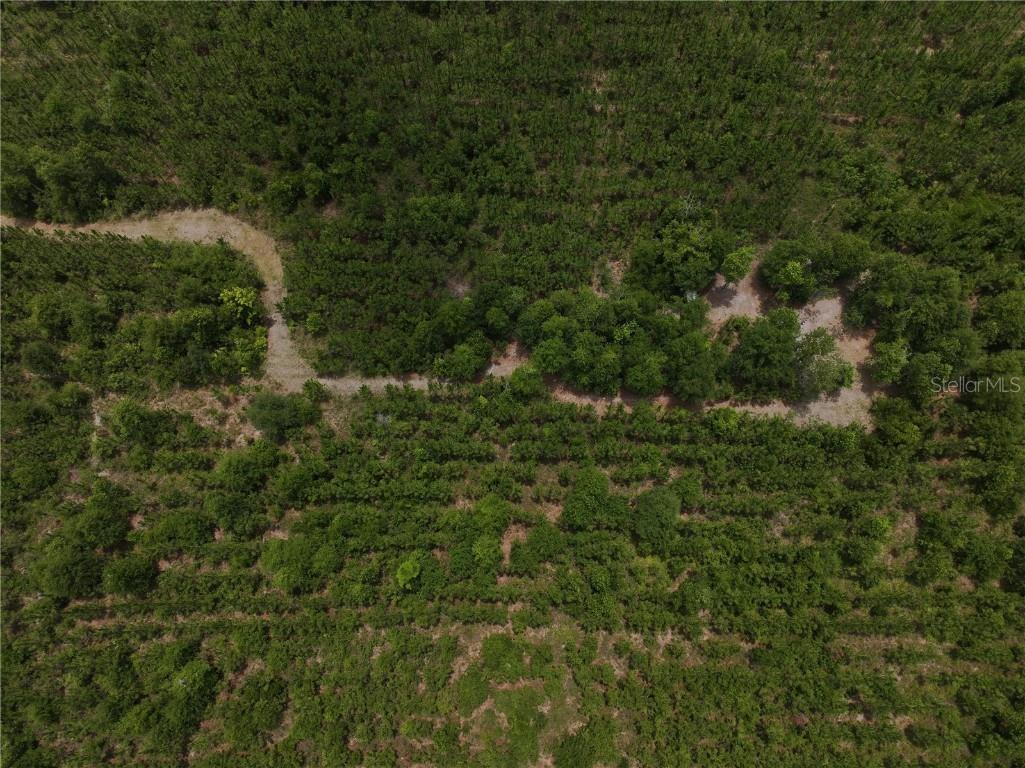 Cr 235 Newberry FL 32669 GC531321 image2