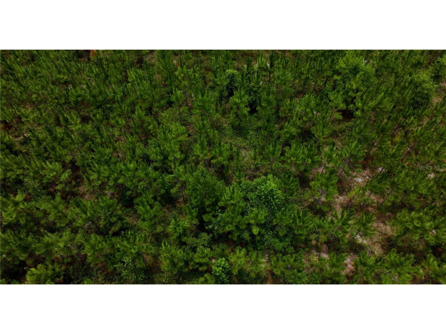 Cr 235 Newberry FL 32669 GC531321 image4