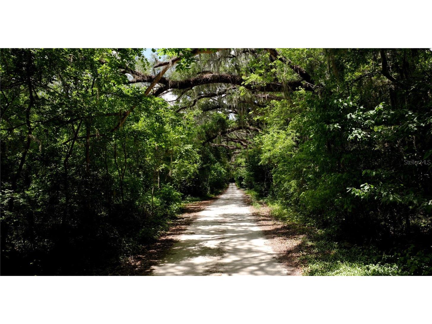 Cr 235 Newberry FL 32669 GC531321 image5