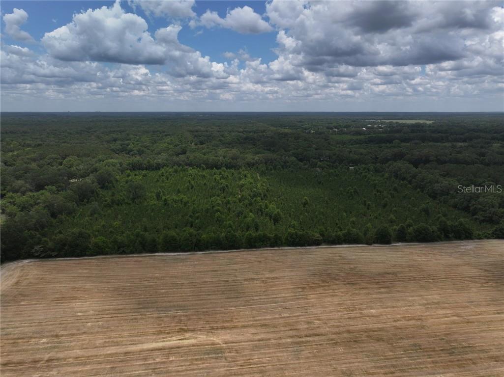 Cr 235 Newberry FL 32669 GC531321 image6