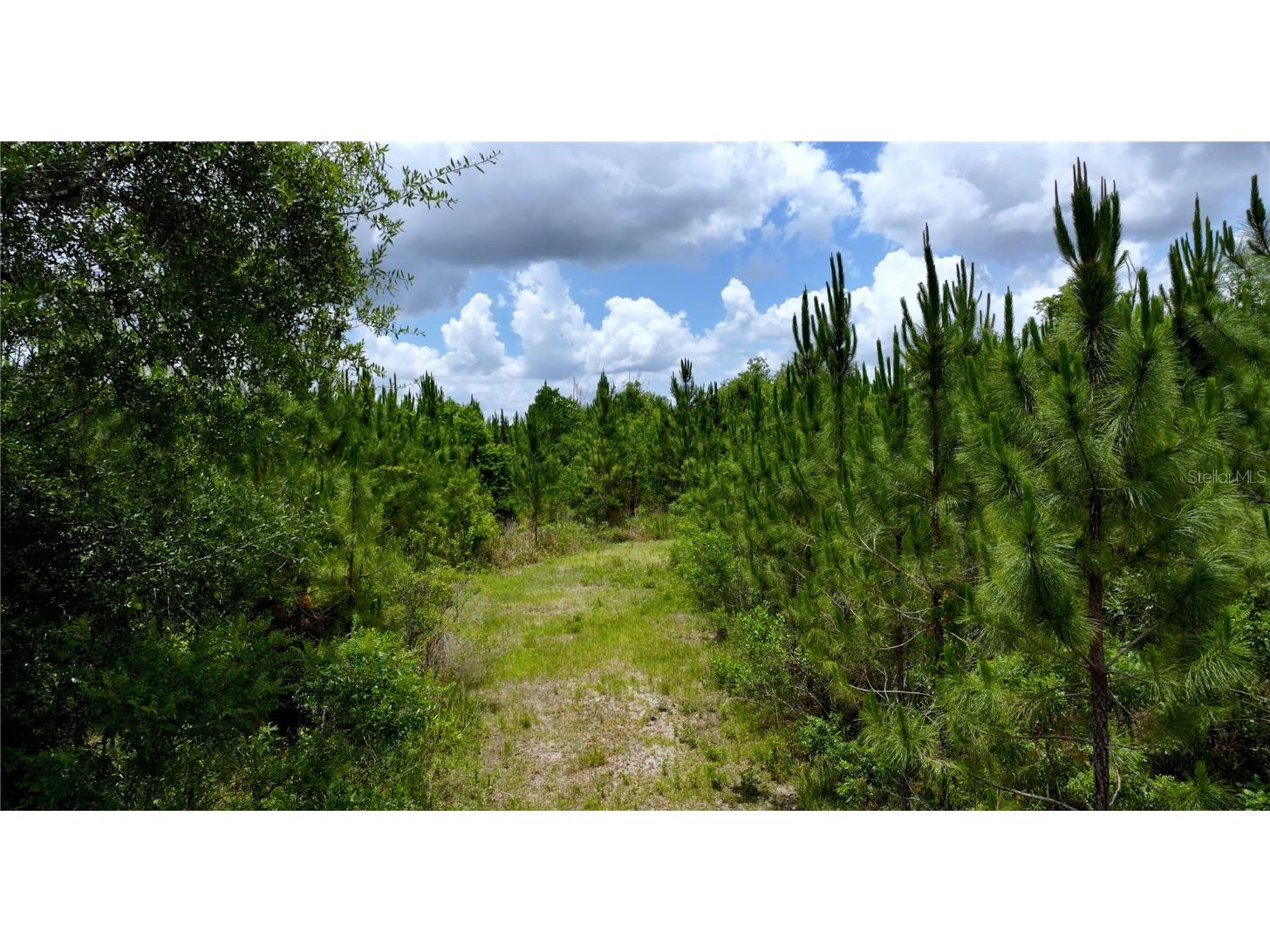 Cr 235 Newberry FL 32669 GC531321 image8