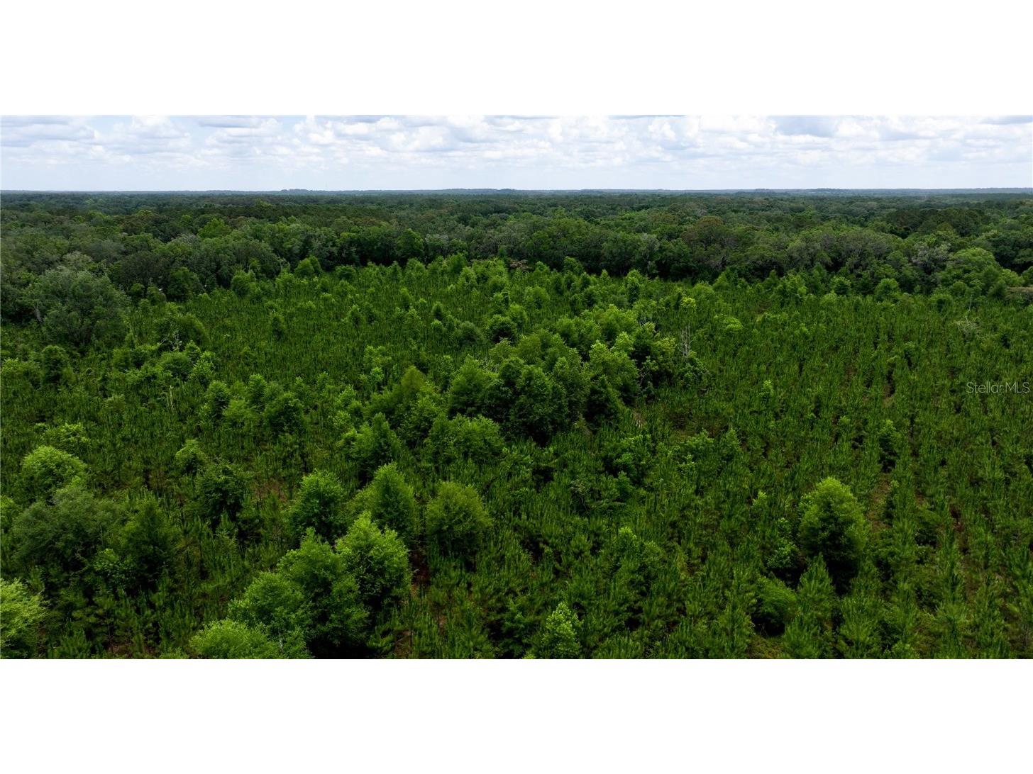 Cr 235 Newberry FL 32669 GC531321 image9