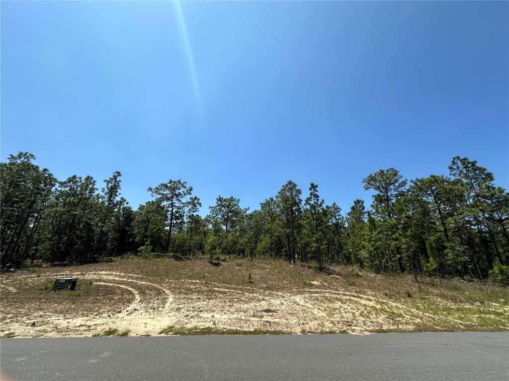 Cr 243 Wildwood FL 34785 G5081206 image1