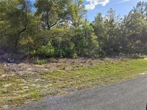 Cr 245c Oxford FL 34484 G5101718 image1