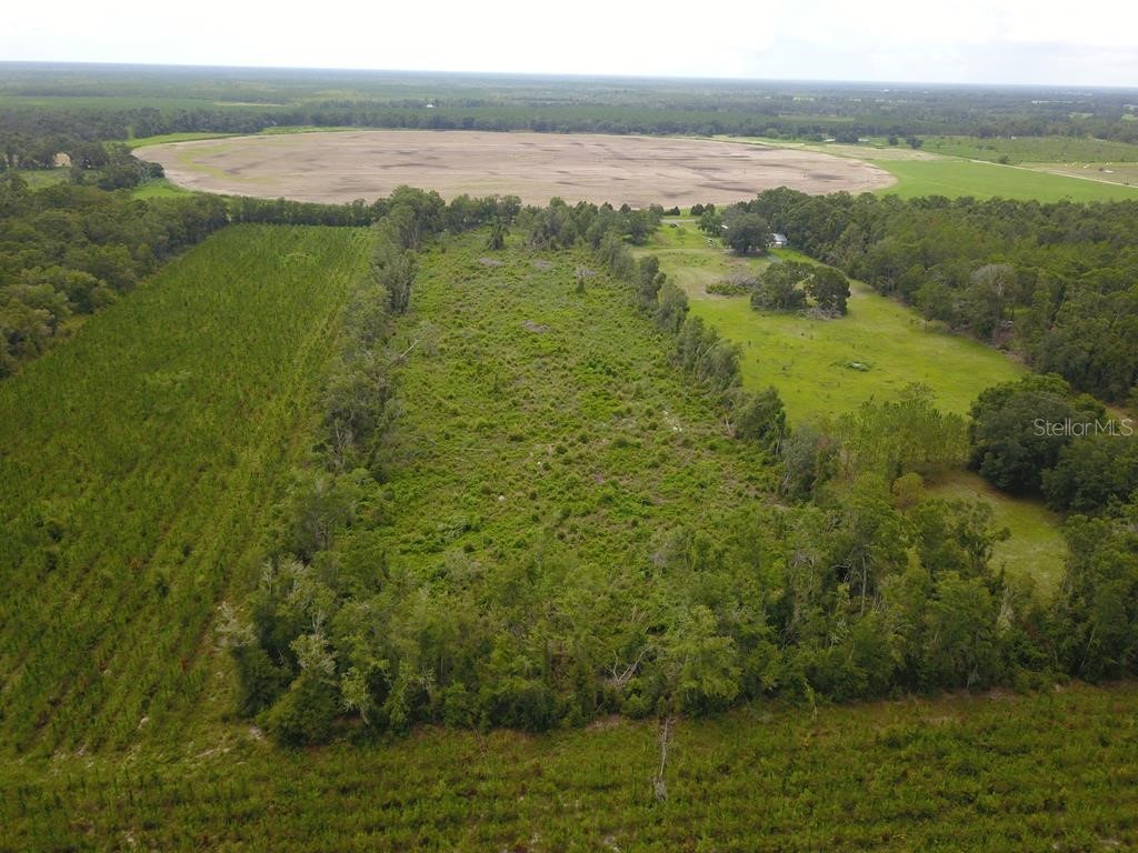 Cr-300 Mayo FL 32066 GC524150 image1