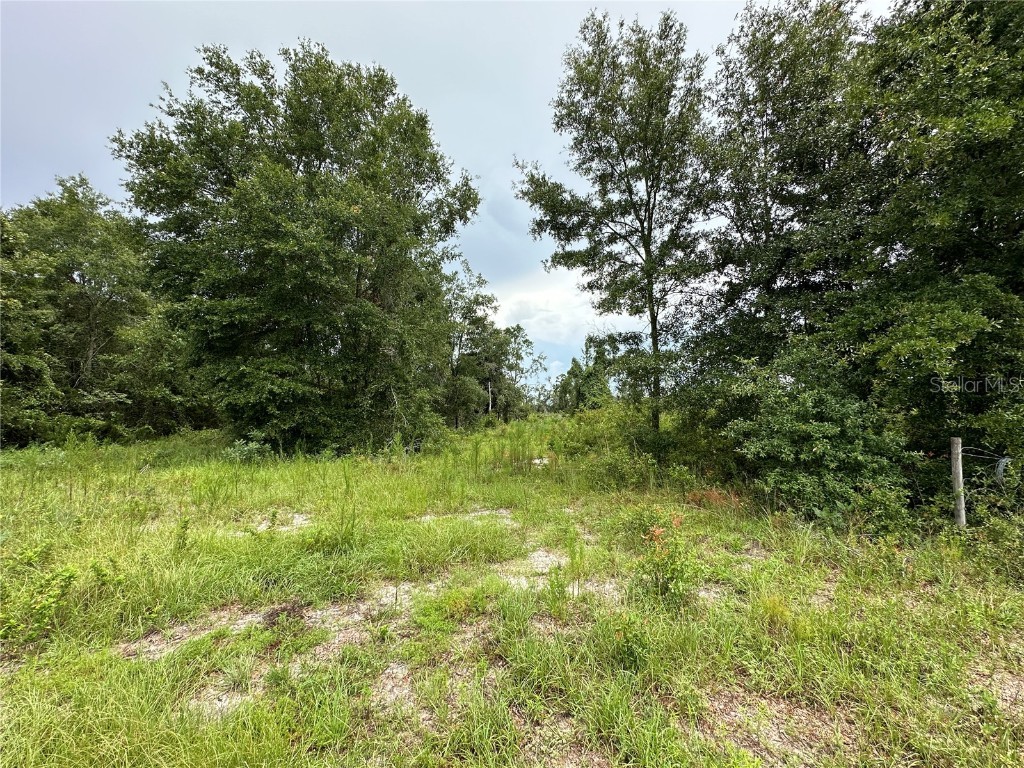 Cr-300 Mayo FL 32066 GC524150 image10