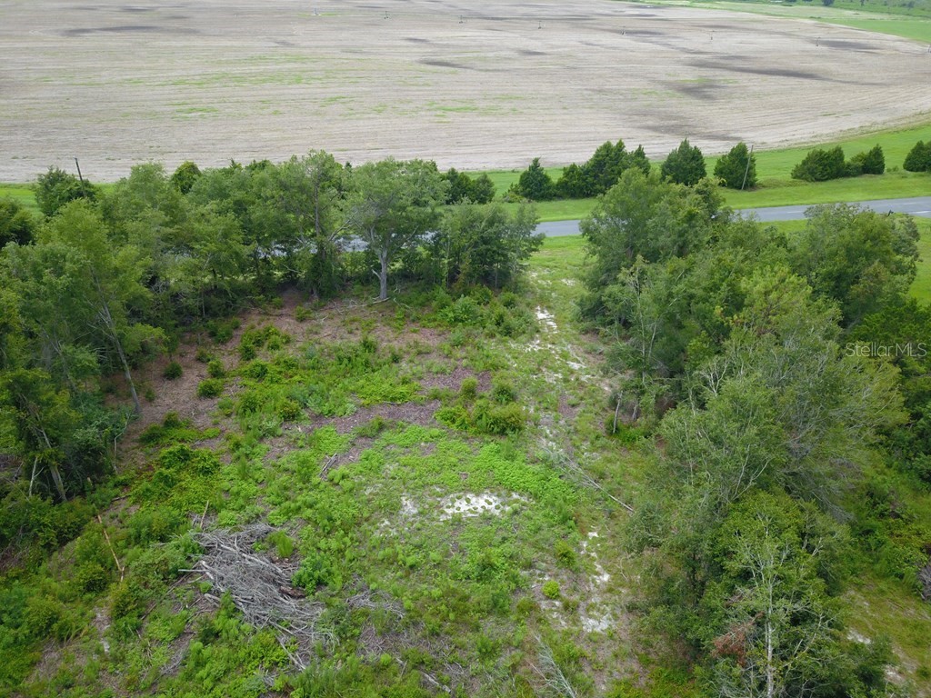 Cr-300 Mayo FL 32066 GC524150 image3