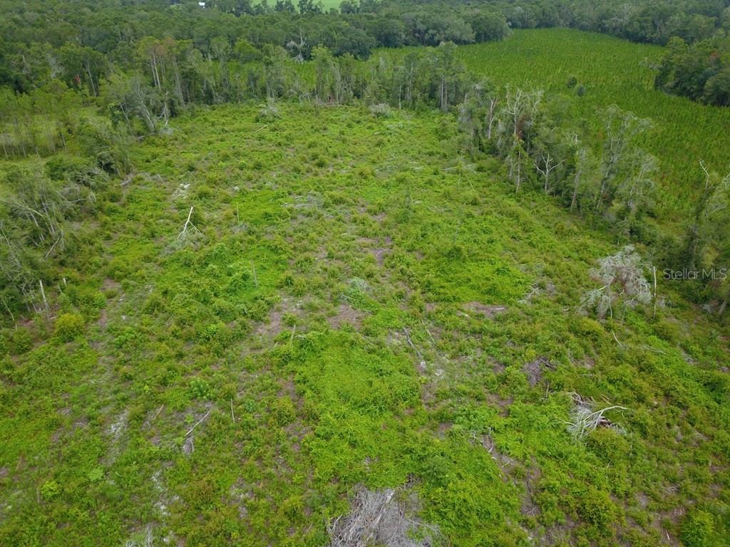 Cr-300 Mayo FL 32066 GC524150 image4