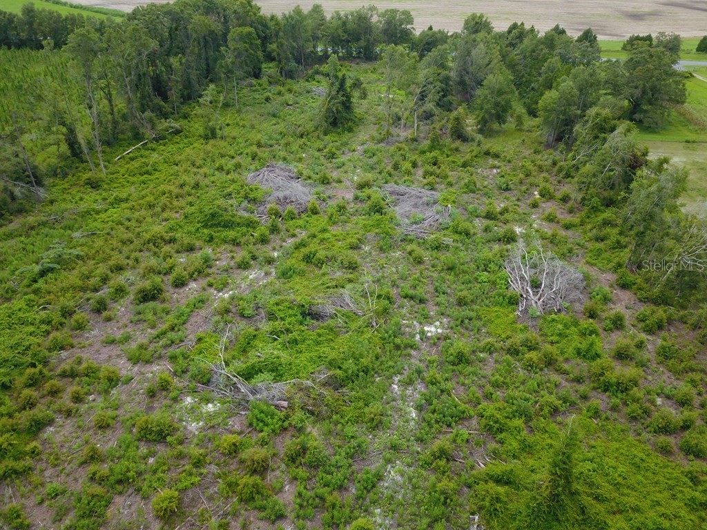 Cr-300 Mayo FL 32066 GC524150 image5