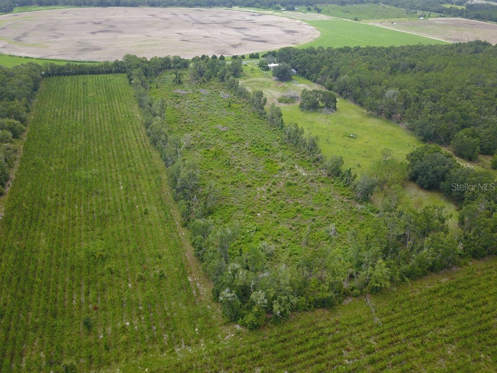 Cr-300 Mayo FL 32066 GC524150 image6