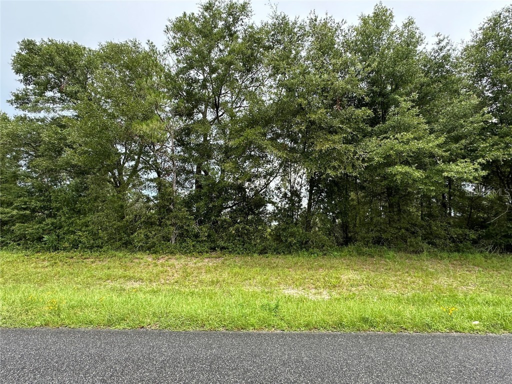 Cr-300 Mayo FL 32066 GC524150 image8