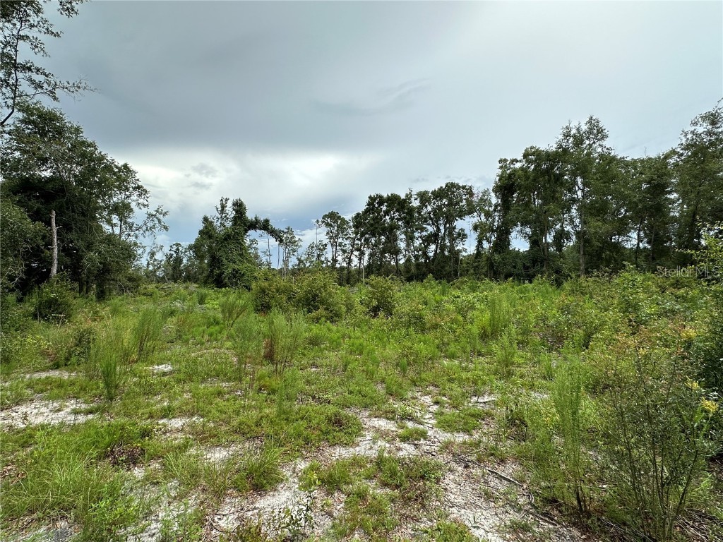 Cr-300 Mayo FL 32066 GC524150 image9