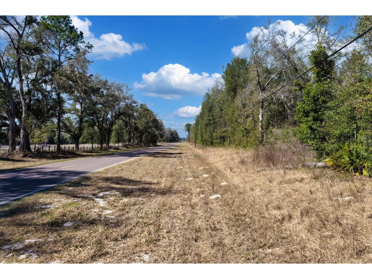 Cr 339 NW Trenton FL 32693 OM720096 image1