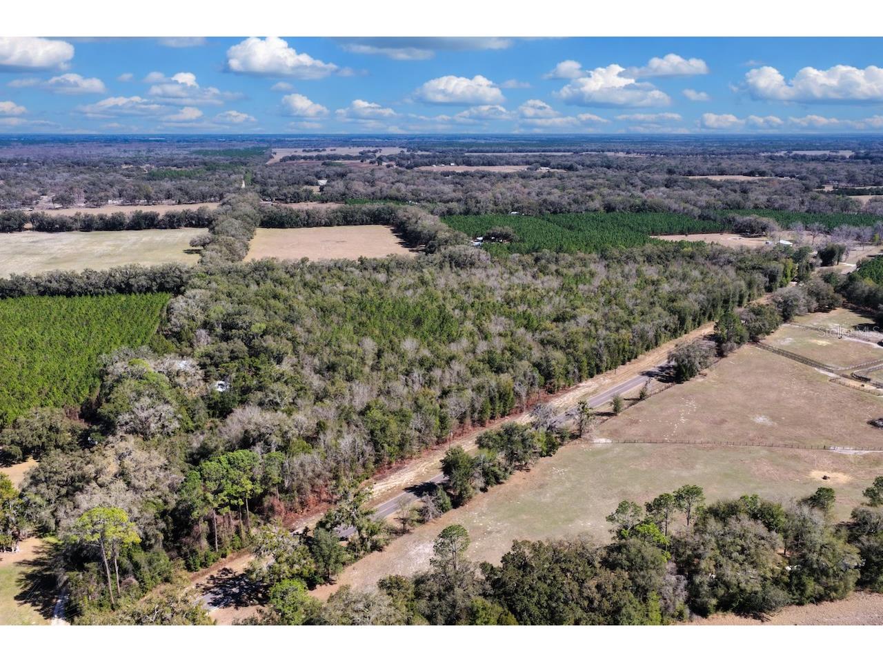 Cr 339 NW Trenton FL 32693 OM720096 image11