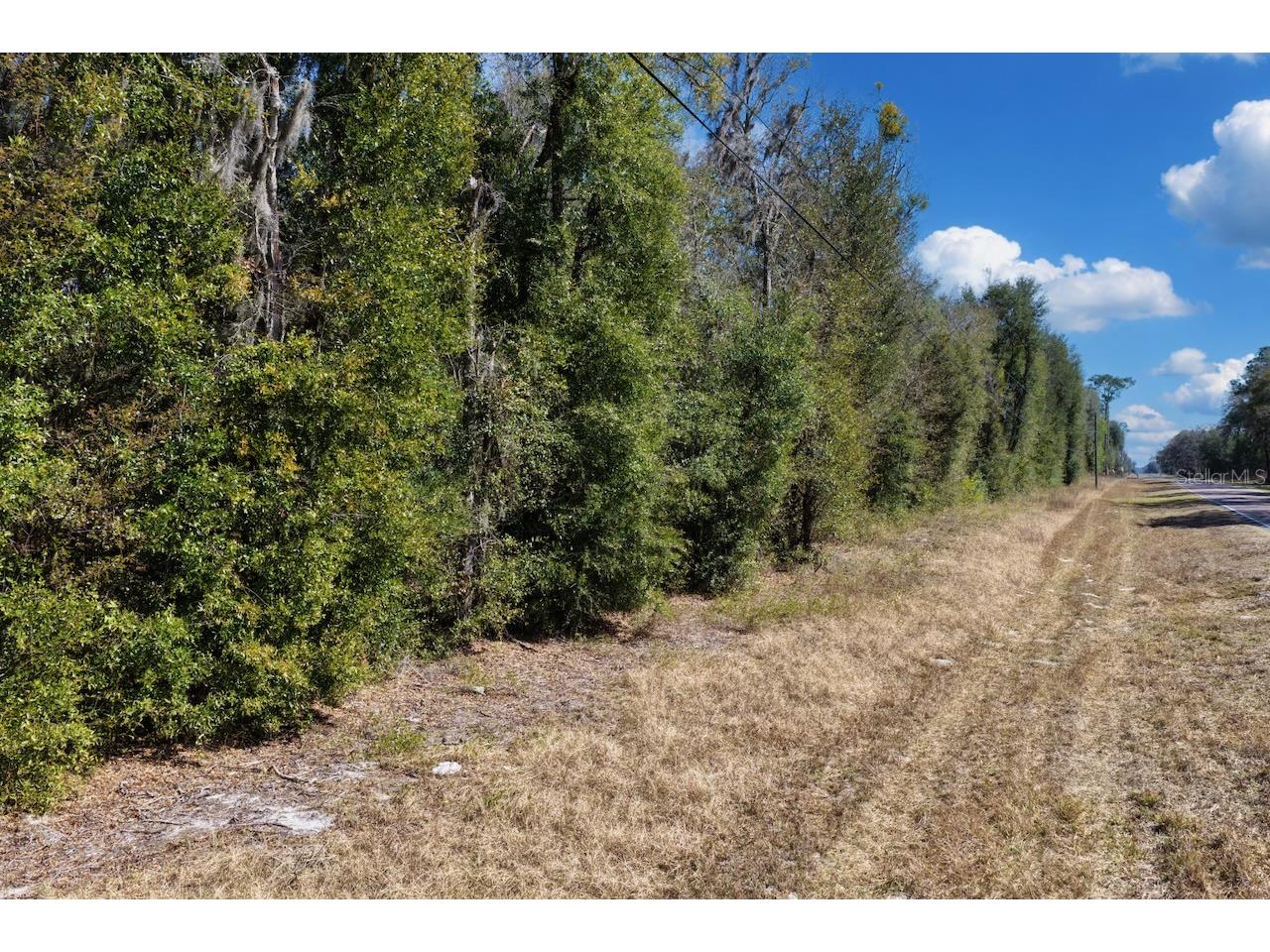 Cr 339 NW Trenton FL 32693 OM720096 image14