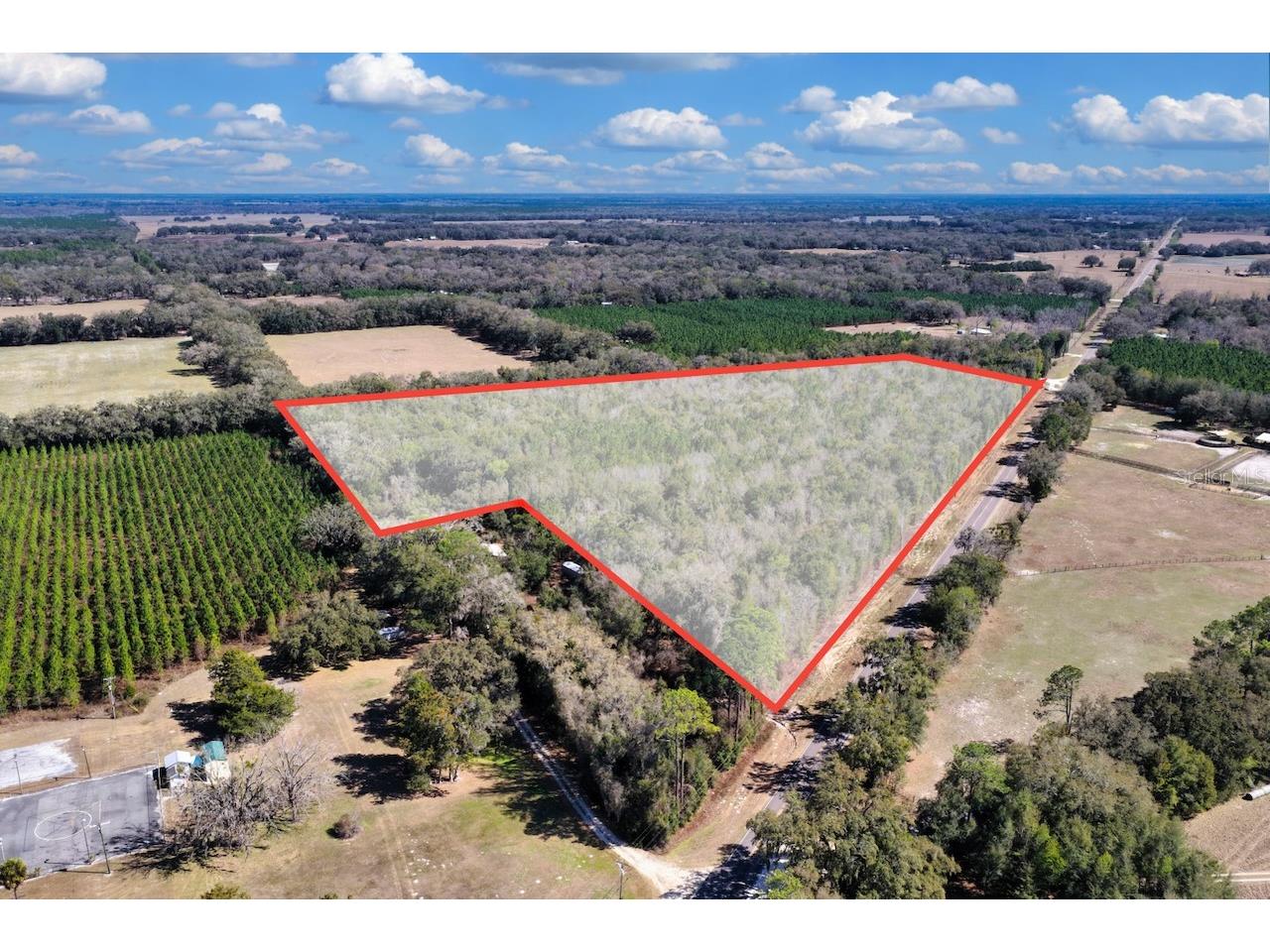 Cr 339 NW Trenton FL 32693 OM720096 image16