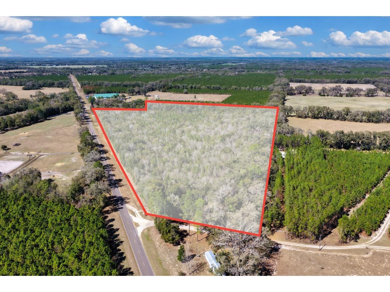 Cr 339 NW Trenton FL 32693 OM720096 image17