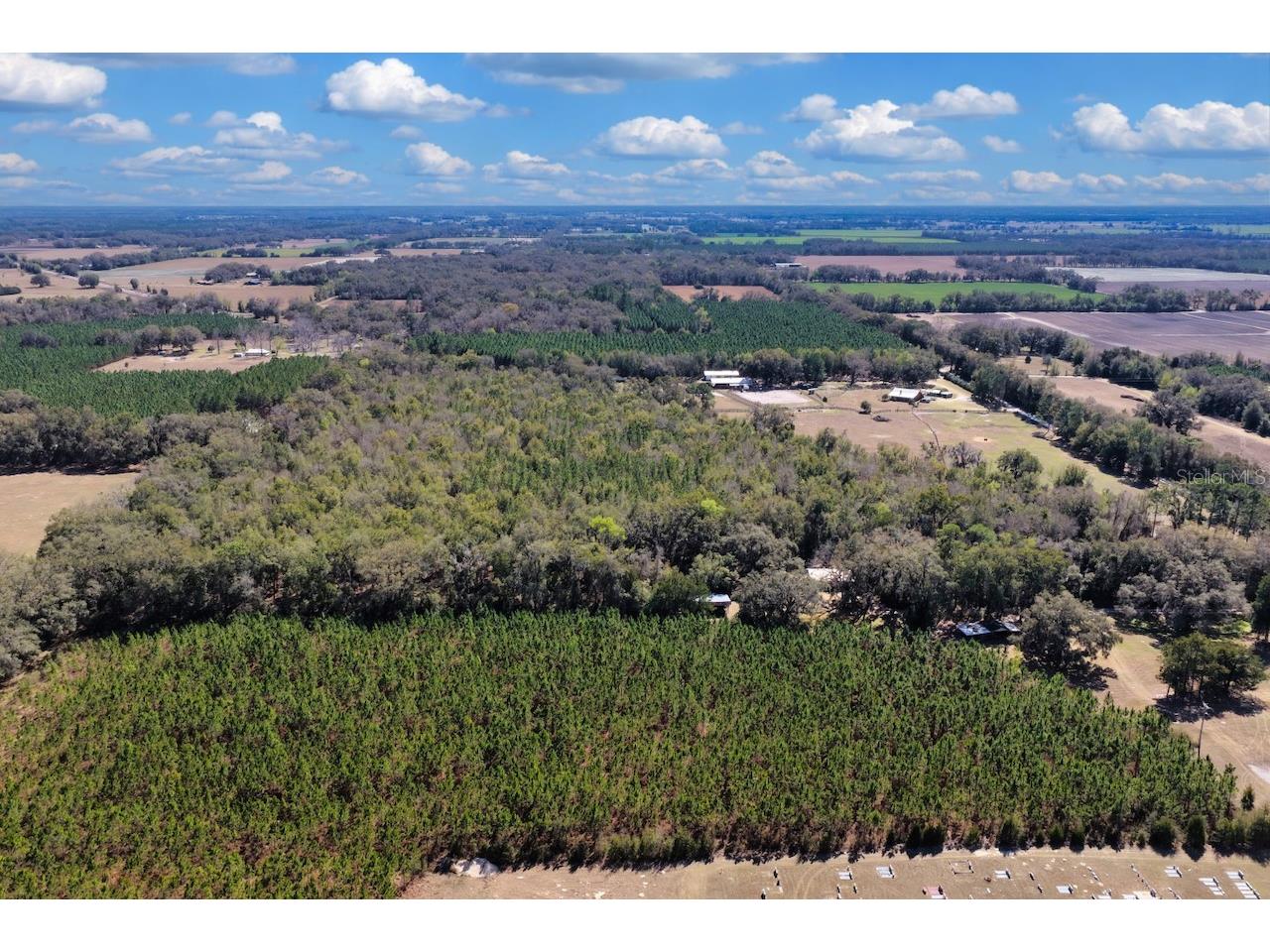 Cr 339 NW Trenton FL 32693 OM720096 image8