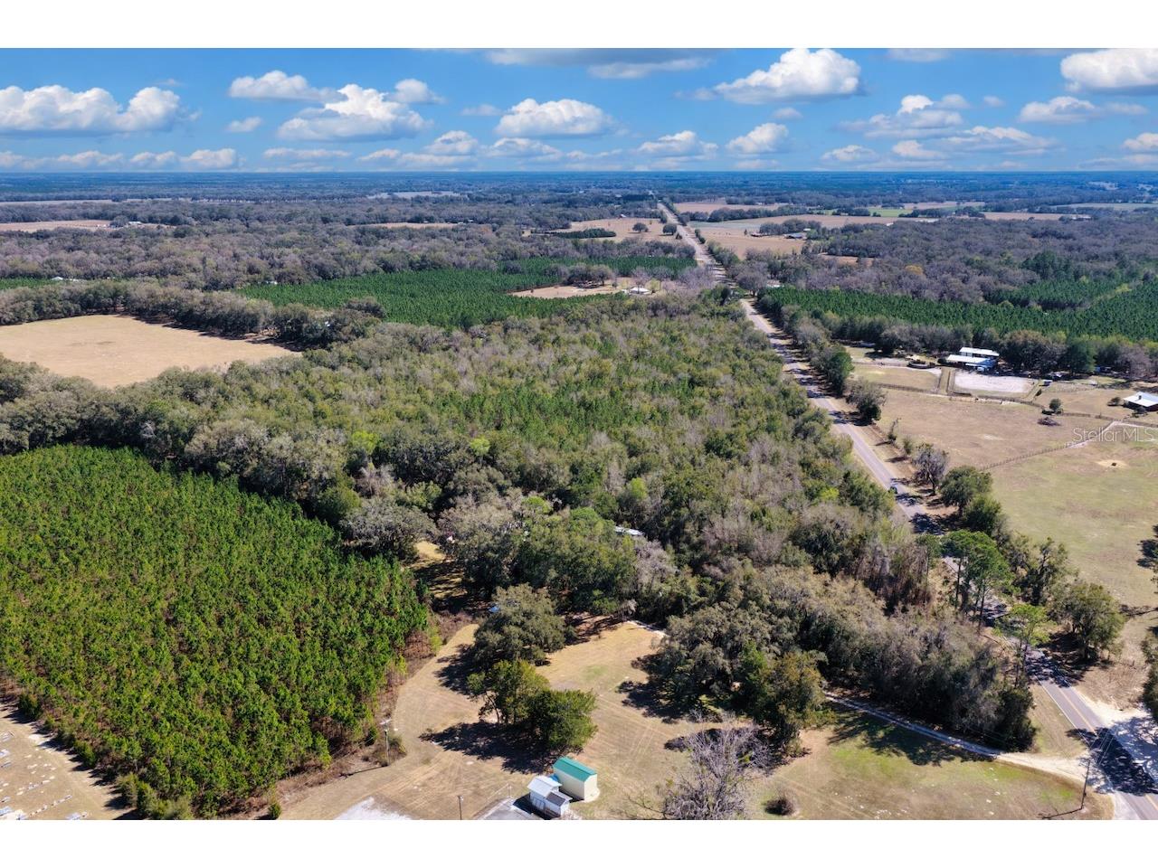 Cr 339 NW Trenton FL 32693 OM720096 image9