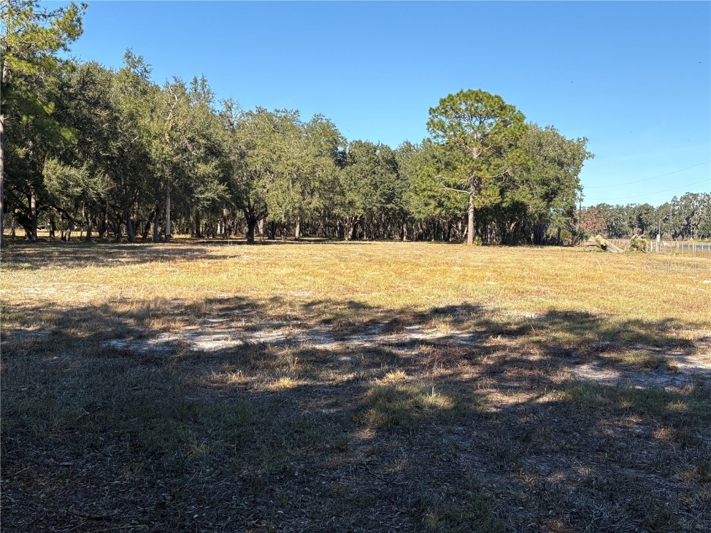 Cr 416n Lake Panasoffkee FL 33538 G5089836 image1