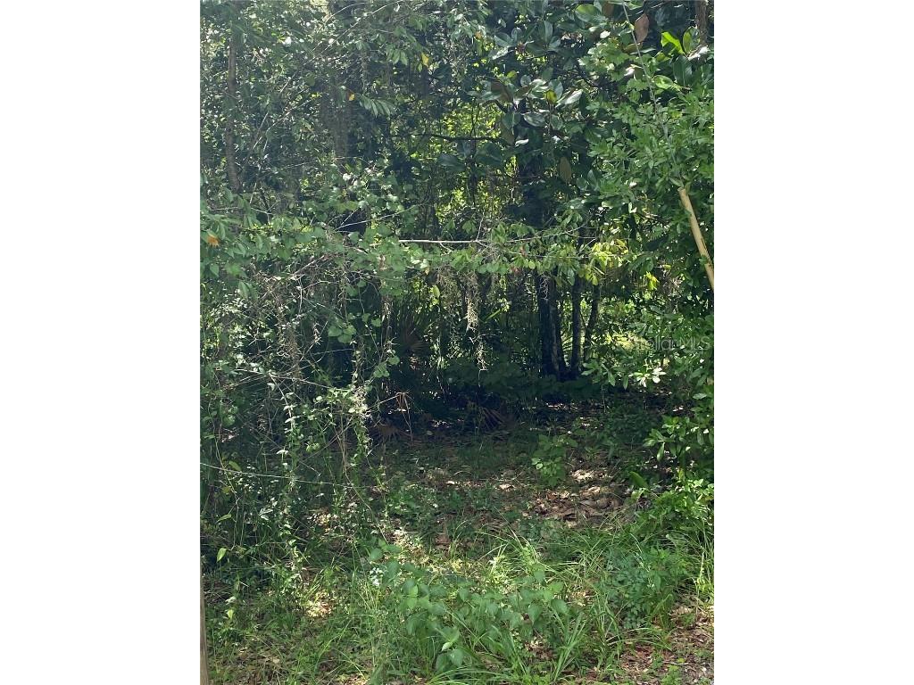 Cr 448c Lake Panasoffkee FL 33538 - LAKE PANASOFFKEE G5084429 image2