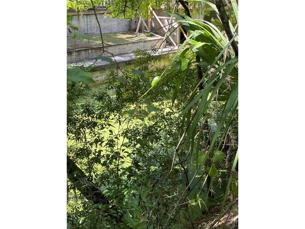 Cr 448c Lake Panasoffkee FL 33538 - LAKE PANASOFFKEE G5084429 image3