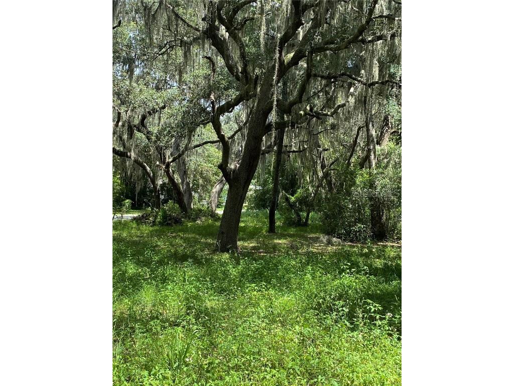 Cr 448c Lake Panasoffkee FL 33538 - LAKE PANASOFFKEE G5084429 image4