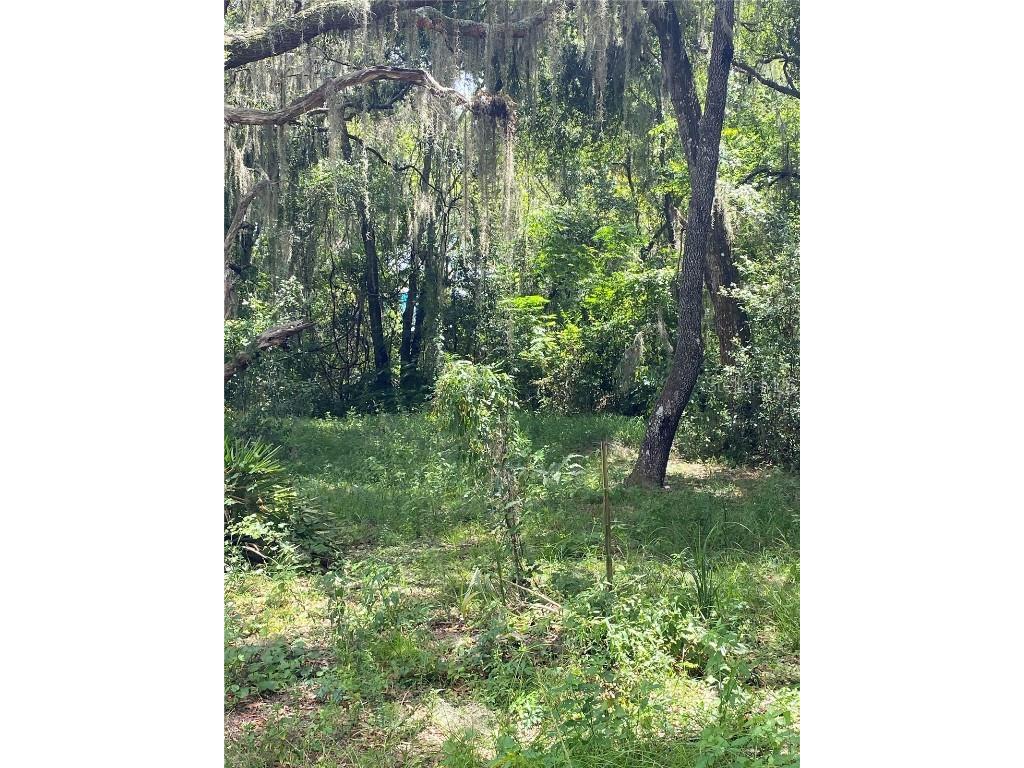 Cr 448c Lake Panasoffkee FL 33538 - LAKE PANASOFFKEE G5084429 image5