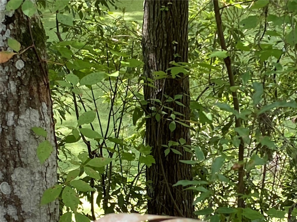 Cr 448c Lake Panasoffkee FL 33538 - LAKE PANASOFFKEE G5084429 image6