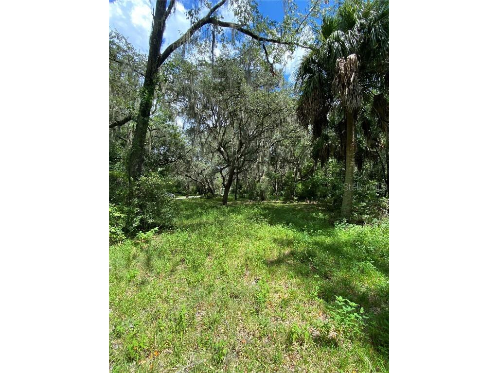 Cr 448c Lake Panasoffkee FL 33538 - LAKE PANASOFFKEE G5084429 image7