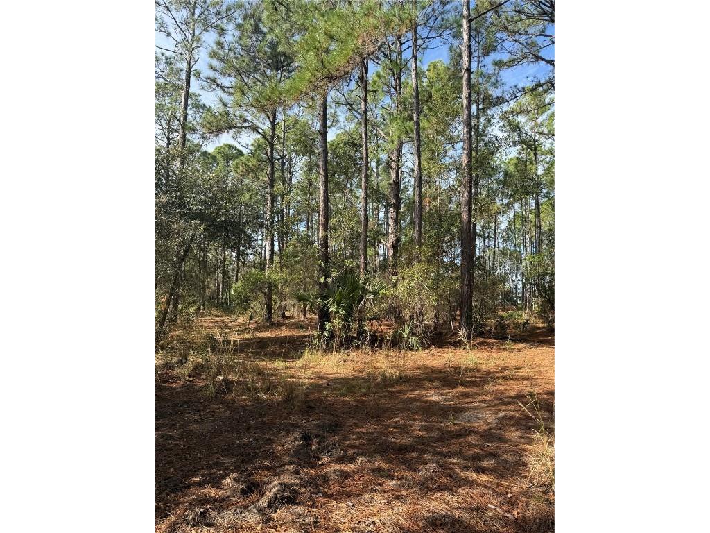 Cr-450 Umatilla FL 32784 V4946435 image2